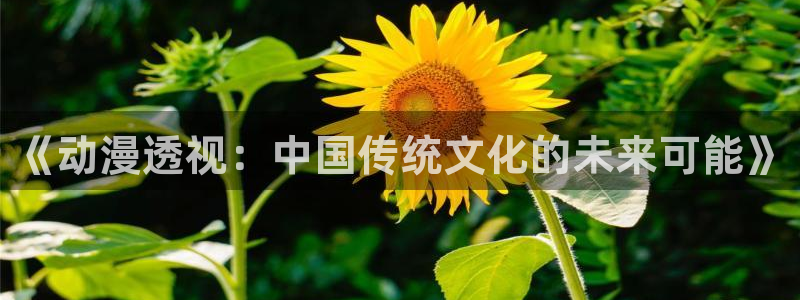 巨人族的新娘 樱花动漫：《动漫透视：中国传统文化的未来可能》