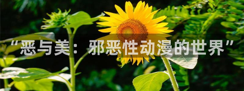 樱花动漫看无颜之月：“恶与美：邪恶性动漫的世界”